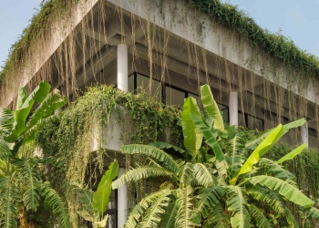 coconut-club-architect-green-architecture-cambodia-green-facade-04