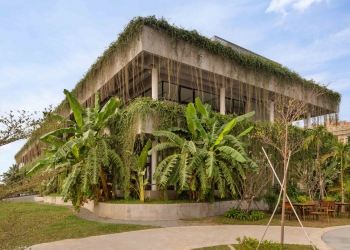 coconut-club-architect-green-architecture-cambodia-green-facade-05